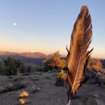 Rite of Passage Bare Bones