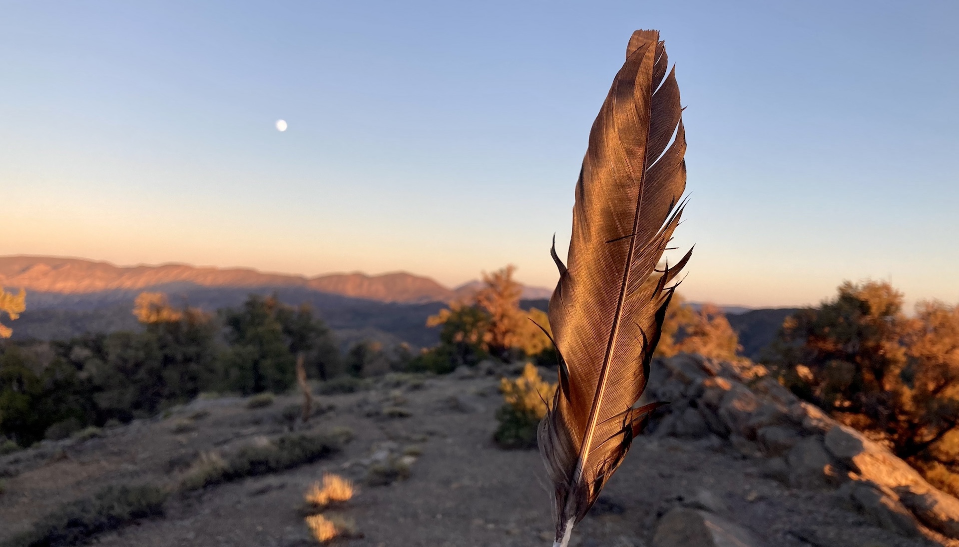 Bare Bones: What Is a Rite of Passage?